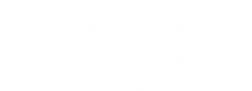 [Image: Spin-City-imports-Logo_White-Horizontal_...1711814931]